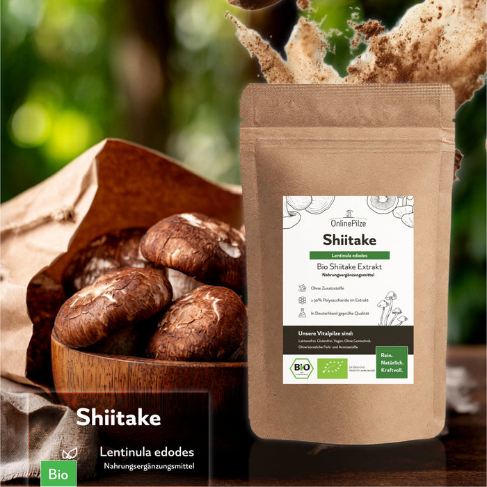 "Shiitake" Bio Vitalpilz Extrakt – Gleichgewicht - OnlinePilze