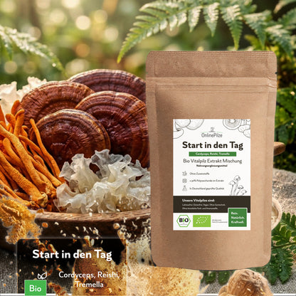 Start in den Tag - Bio Vitalpilz-Extrakt Kapseln & Pulver