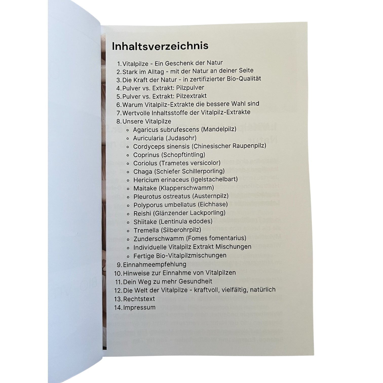 Vitalpilz - Booklet - Dein kleiner Ratgeber rund um Vitalpilze - Onlinepilze