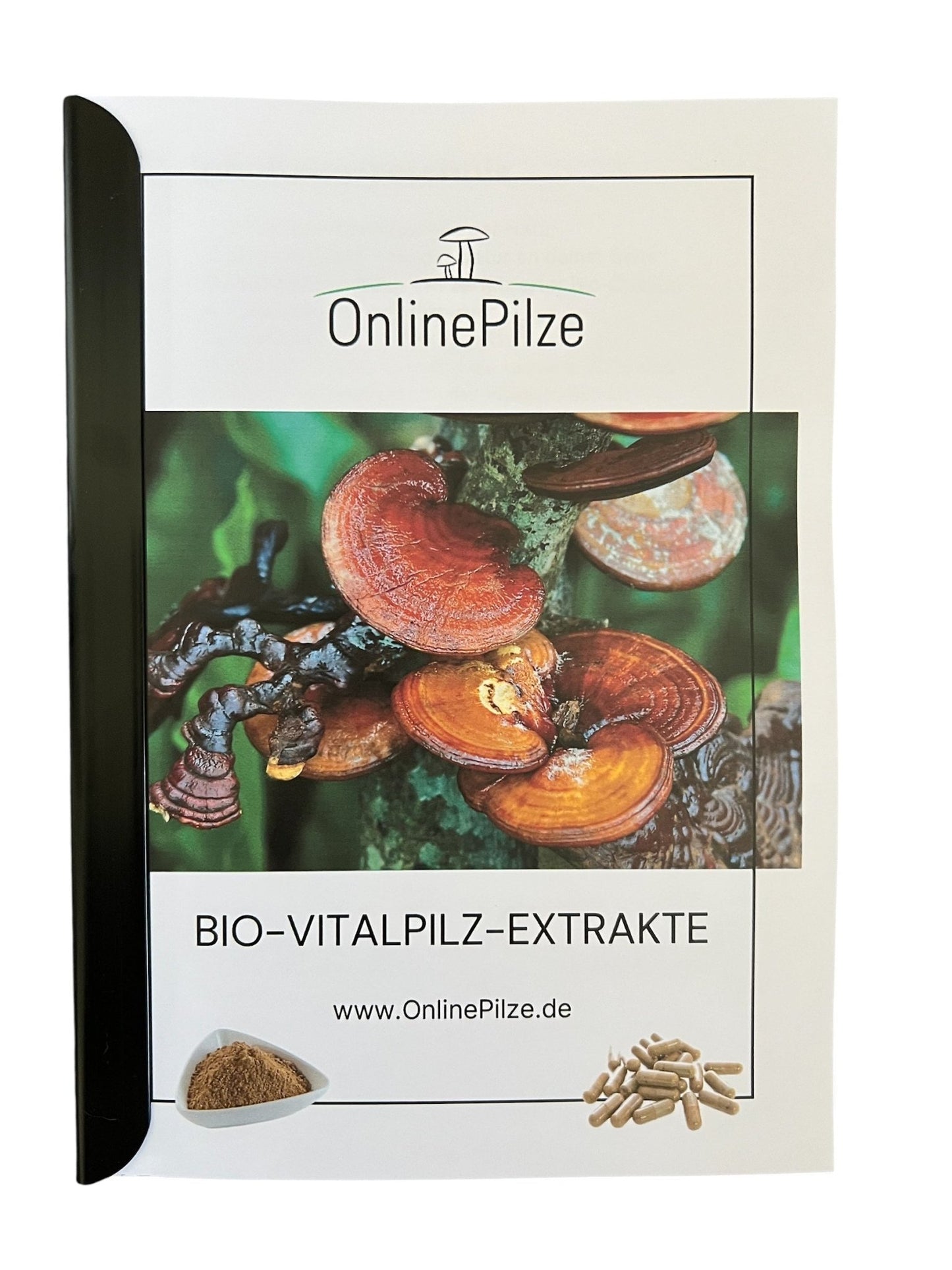 Vitalpilz - Booklet - Dein kleiner Ratgeber rund um Vitalpilze - Onlinepilze
