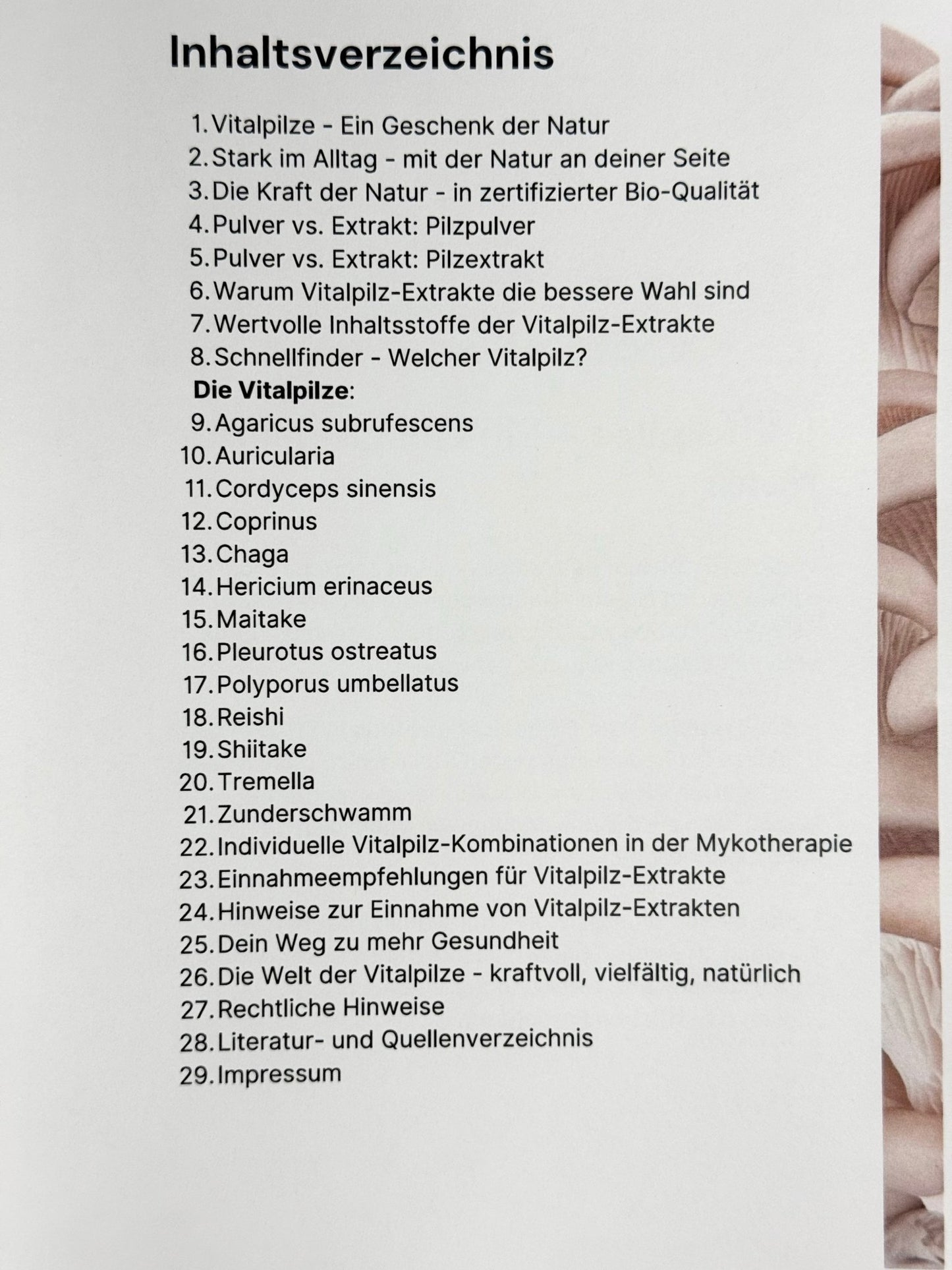 Vitalpilze in der Mykotherapie - Booklet in A5 - Ein verständlicher Wegweiser - Onlinepilze