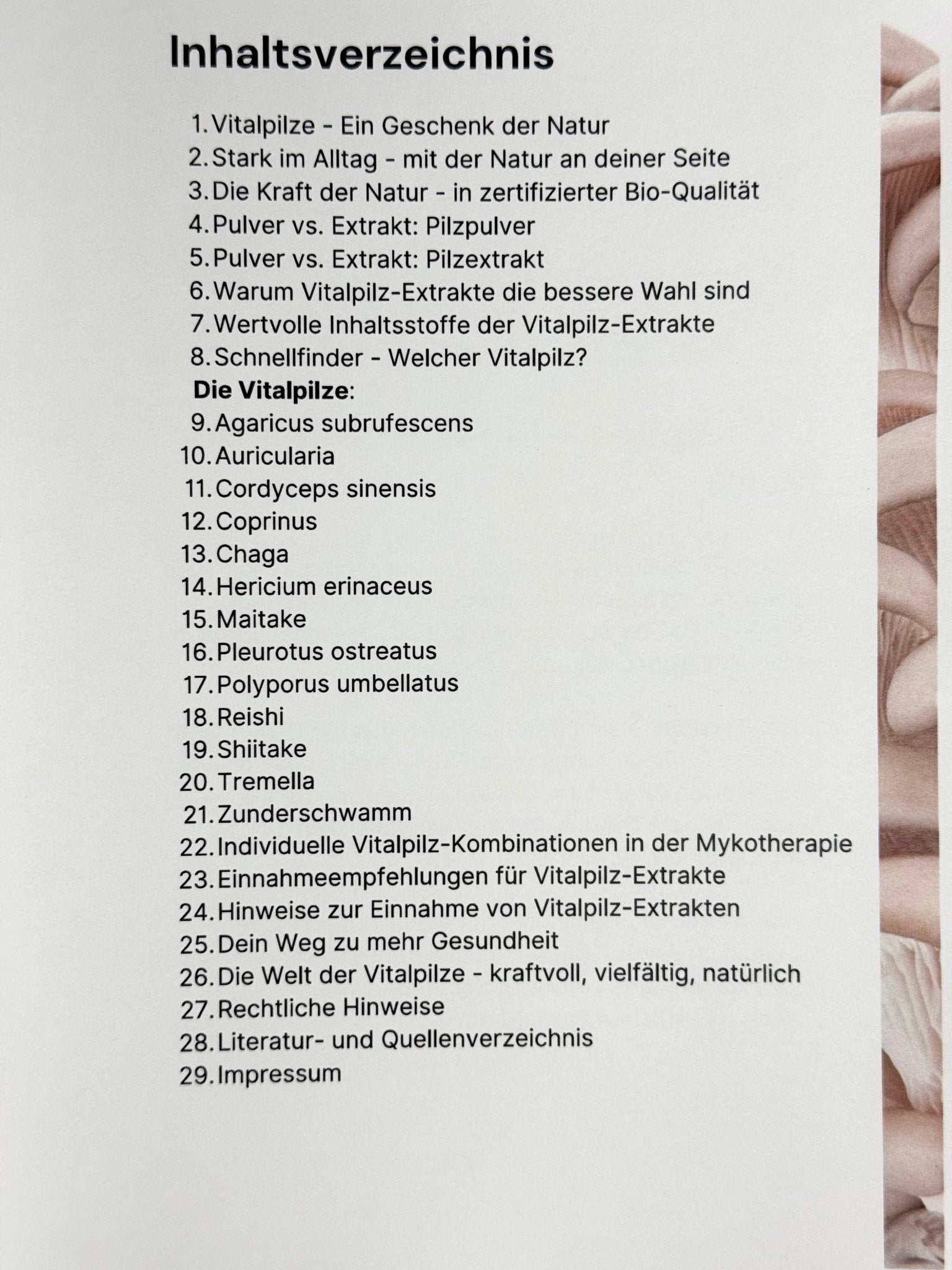 Vitalpilze in der Mykotherapie - Booklet in A5 - Ein verständlicher Wegweiser - Onlinepilze