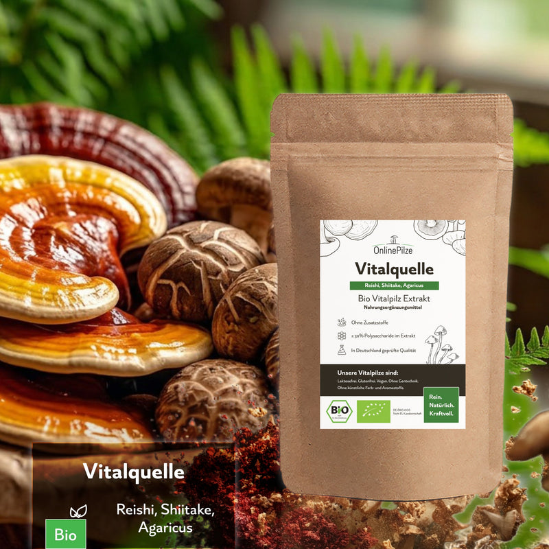 "Vitalquelle" Bio Vitalpilz - Extrakt | Vitalität - OnlinePilze