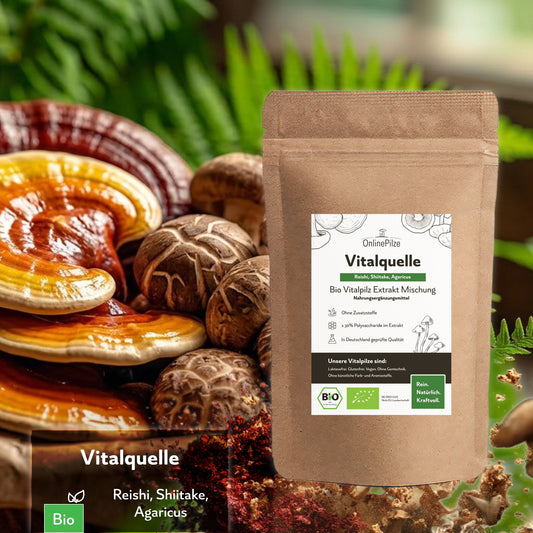 Vitalquelle - Bio Vitalpilz-Extrakt Kapseln & Pulver