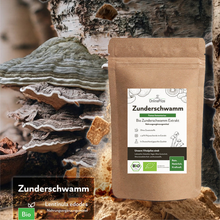 "Zunderschwamm" Bio Vitalpilz Extrakt – Innere Stärke & Balance - OnlinePilze